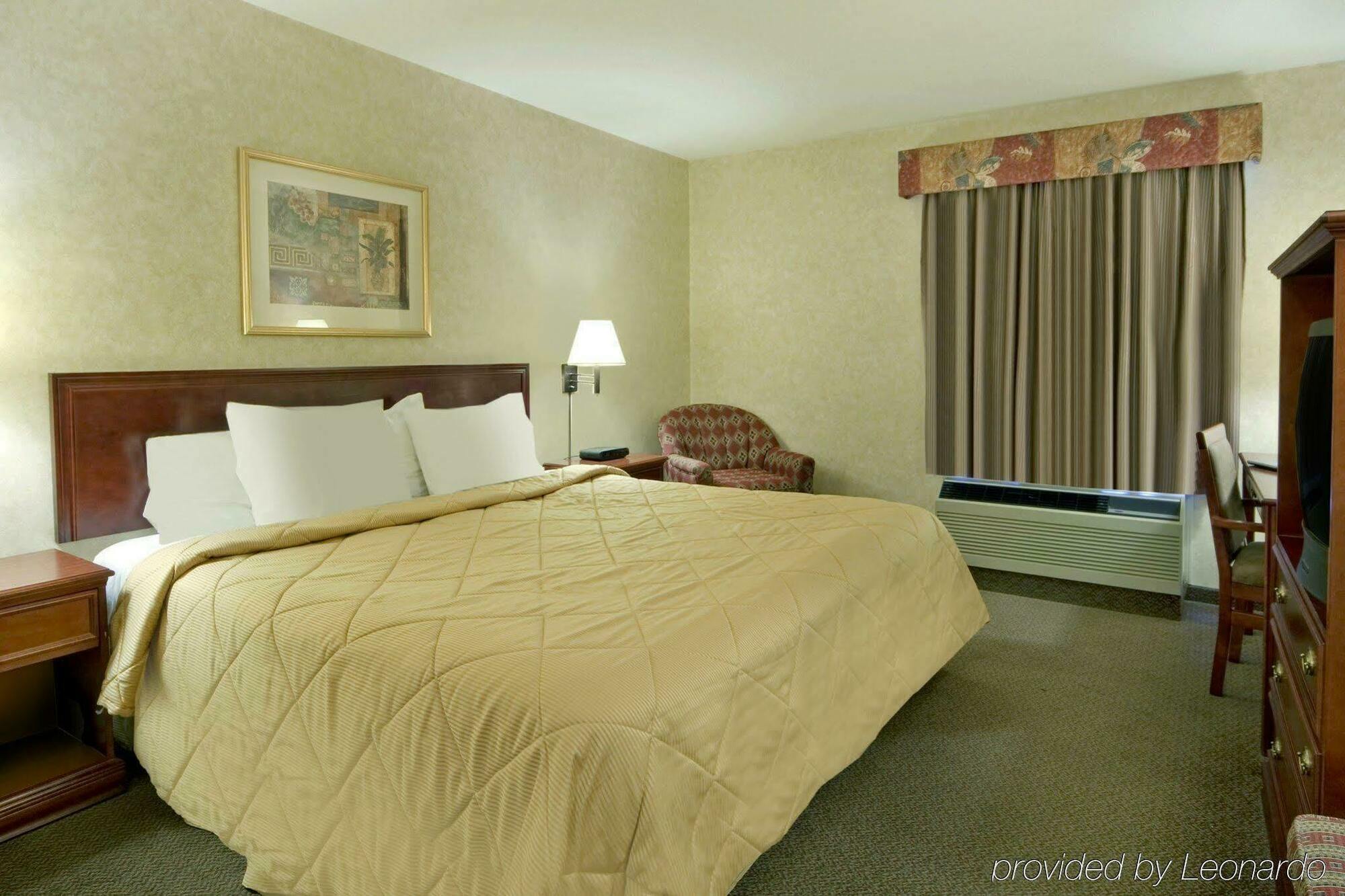 Comfort Inn & Suites University Calgary Room photo